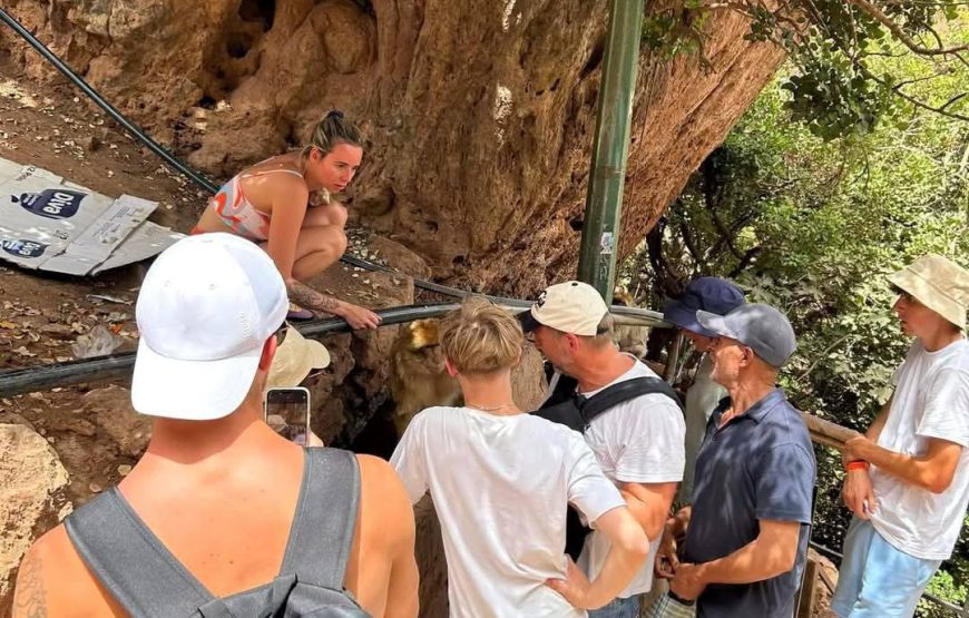 Ourika Valley Excursion