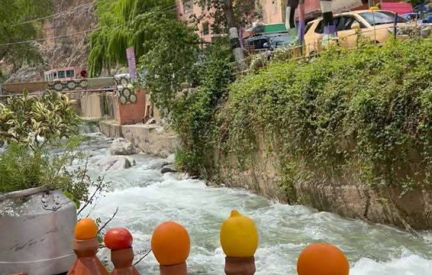 Ourika Valley Excursion