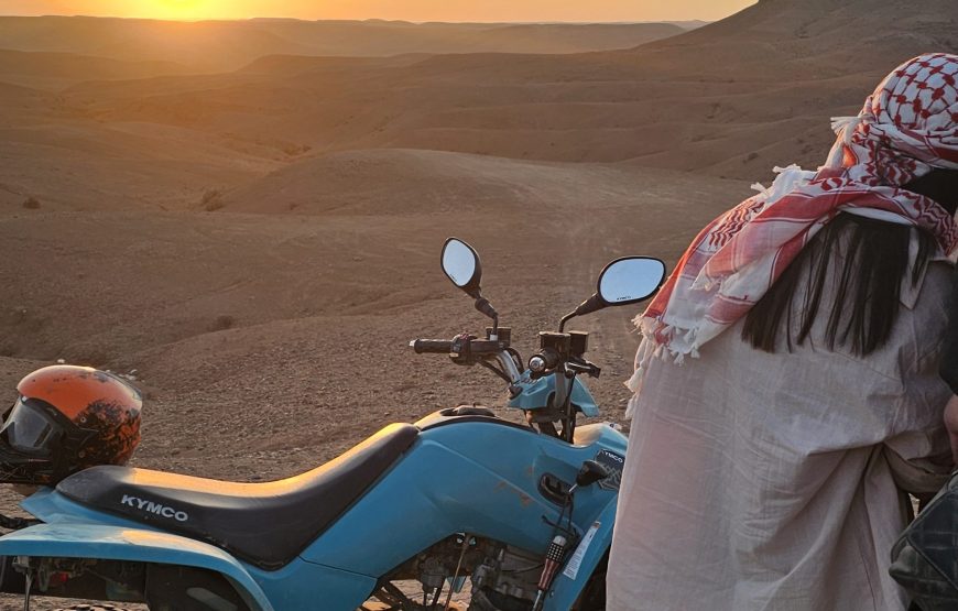 Quad ride in the Marrakech Palm Grove