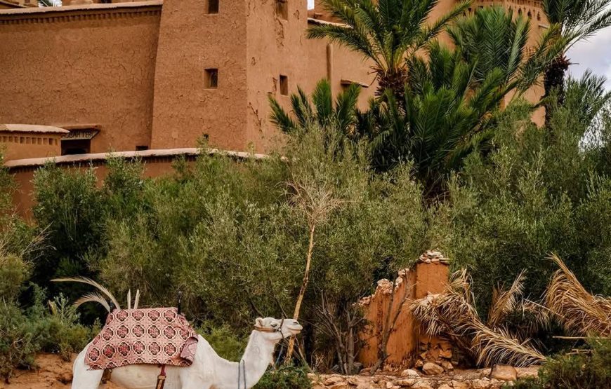 3 Day Excursion to the Dunes of Merzouga