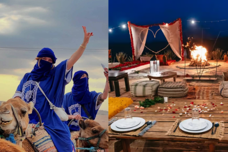 Camels at Sunset in Agafay & Dinner