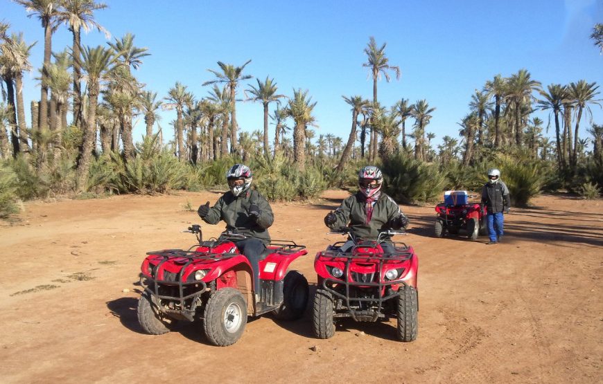 Quad ride in the Marrakech Palm Grove