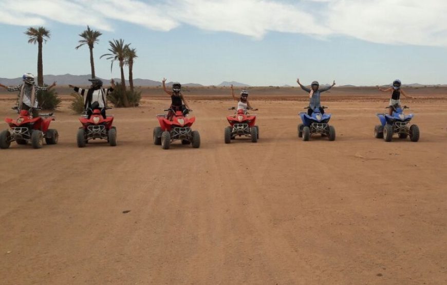 Quad ride in the Marrakech Palm Grove