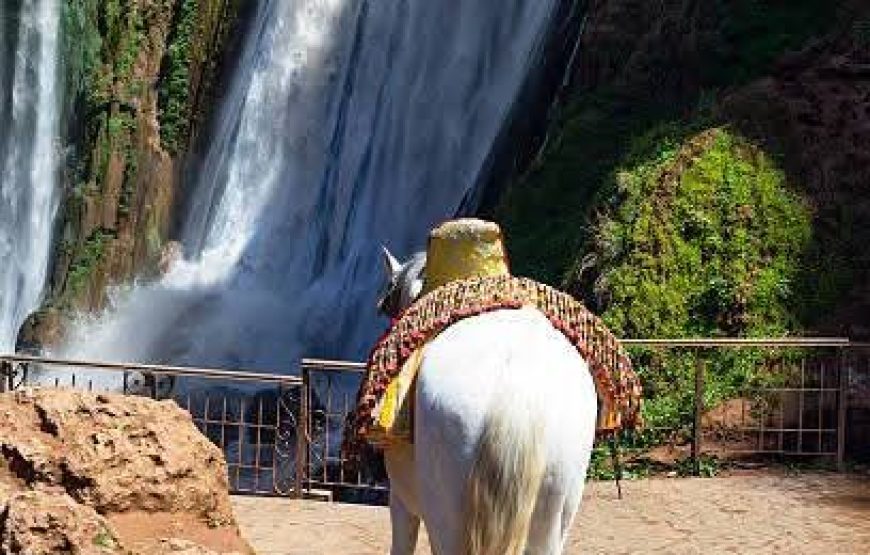 Ouzoud Waterfalls Excursion