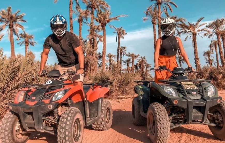 Quad ride in the Marrakech Palm Grove
