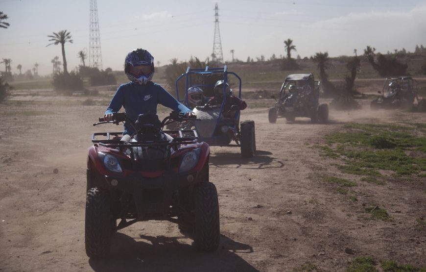 Quad ride in the Marrakech Palm Grove