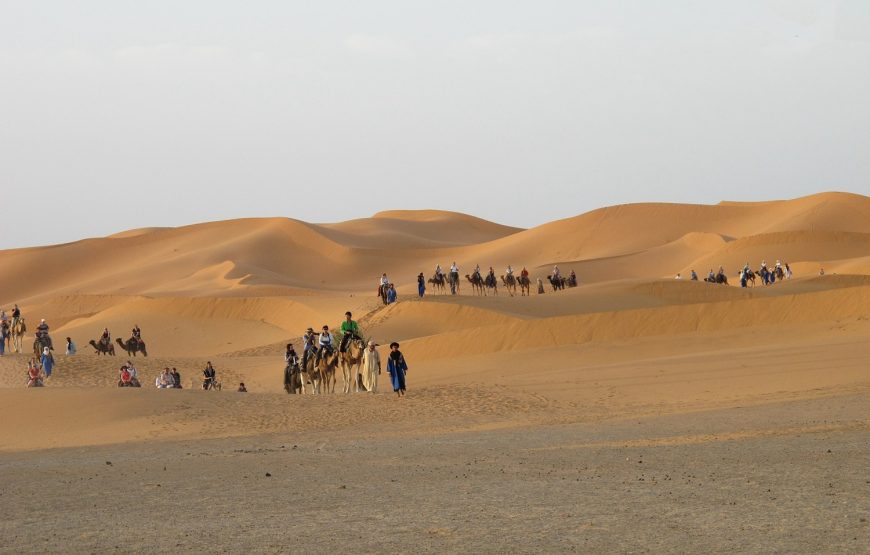 2 Days Excursion to the Zagora Desert
