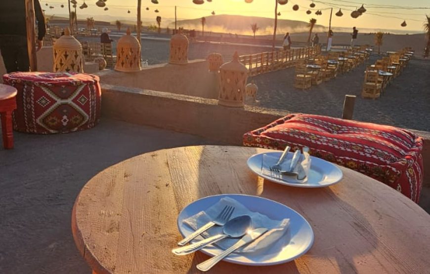 Camels at Sunset in Agafay & Dinner