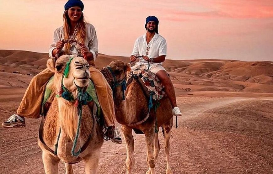 Camels at Sunset in Agafay & Dinner