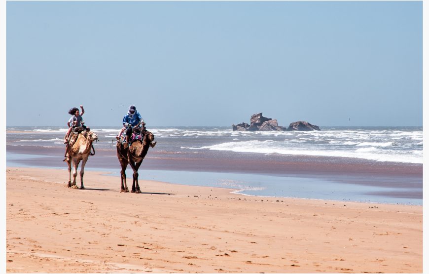 Essaouira – Mogador Excursion