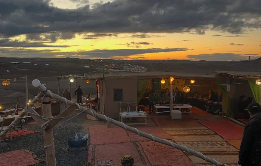 Camels at Sunset in Agafay & Dinner