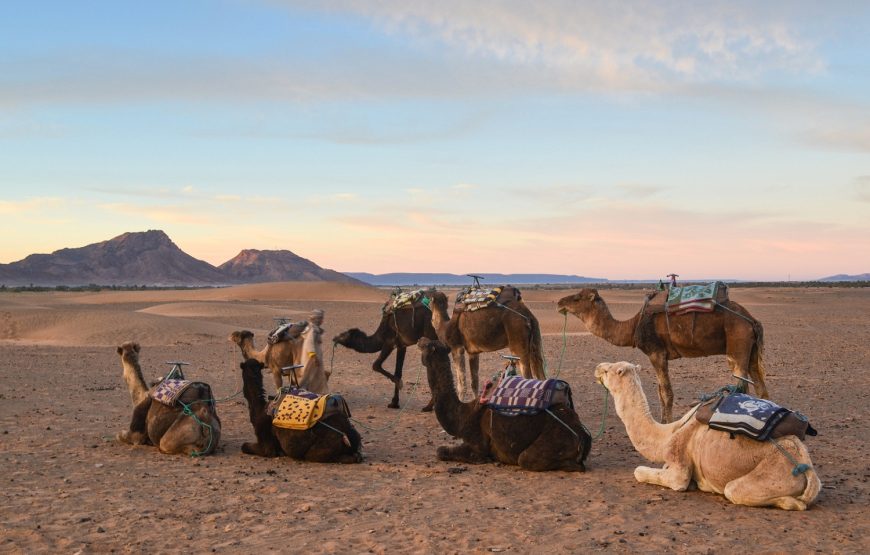 2 Days Excursion to the Zagora Desert