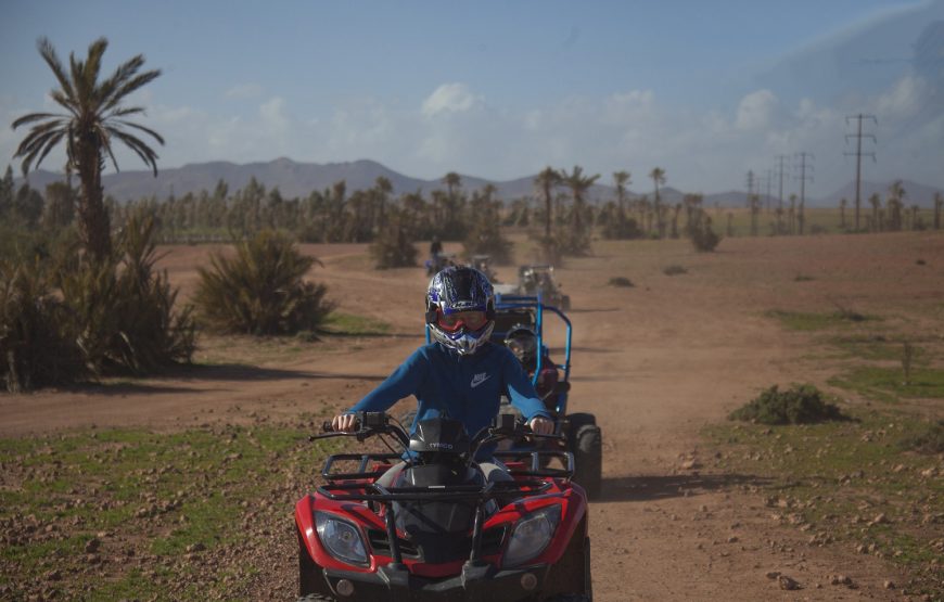 Quad ride in the Marrakech Palm Grove