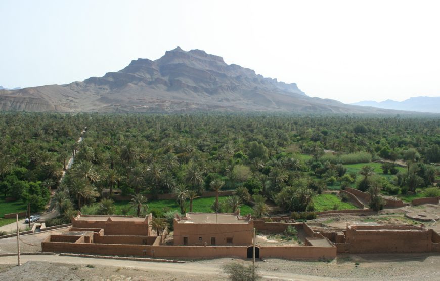 2 Days Excursion to the Zagora Desert