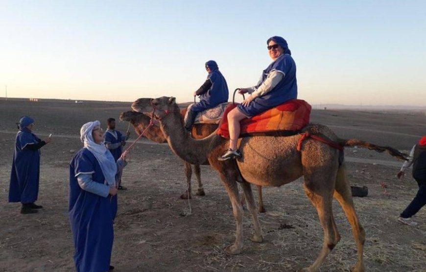 Camels at Sunset in Agafay & Dinner
