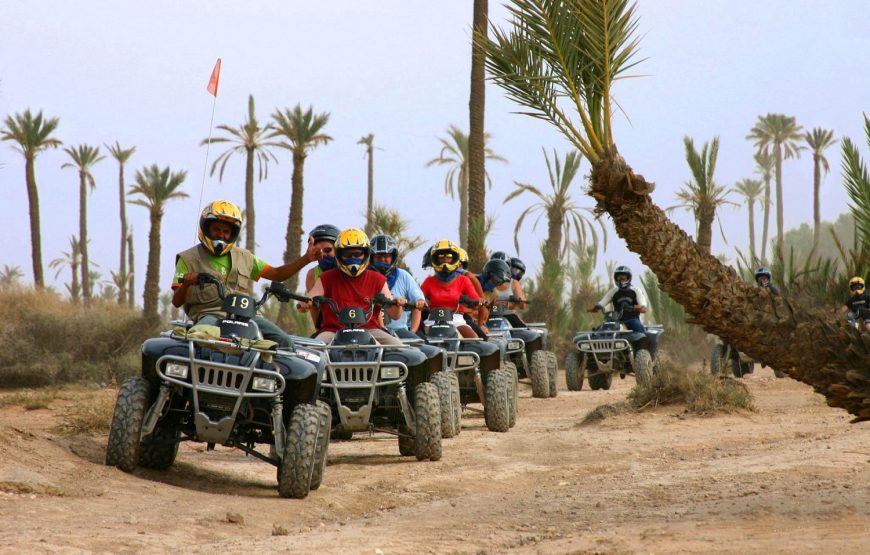Quad ride in the Marrakech Palm Grove