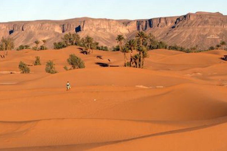 2 Days Excursion to the Zagora Desert