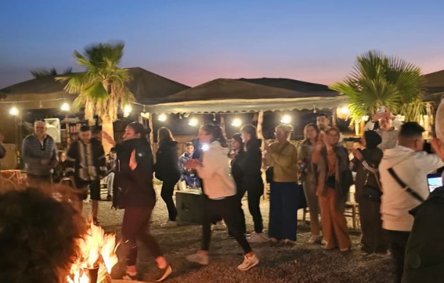 Camels at Sunset in Agafay & Dinner