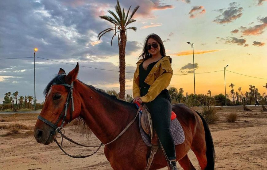 Horseback Riding in the Palmeraie Marrakech