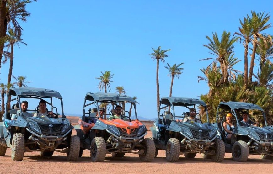 Buggy ride in Marrakech Palmeraie