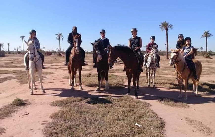 Horseback Riding in the Palmeraie Marrakech