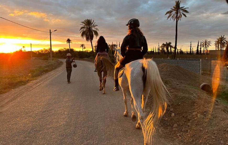 Horseback Riding in the Palmeraie Marrakech