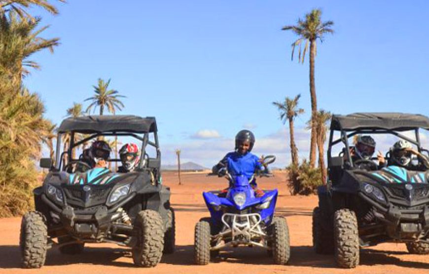 Buggy ride in Marrakech Palmeraie