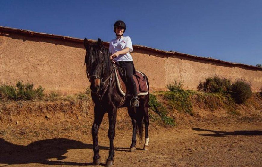 Horseback Riding in the Palmeraie Marrakech