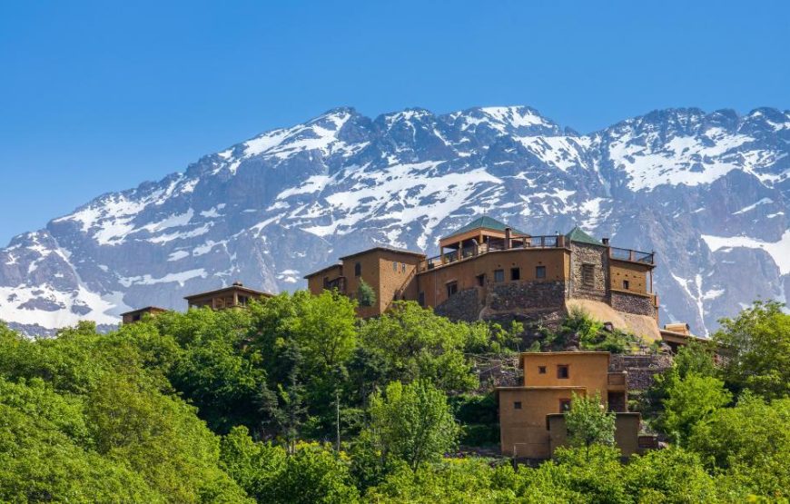 Imlil and High Atlas Excursion