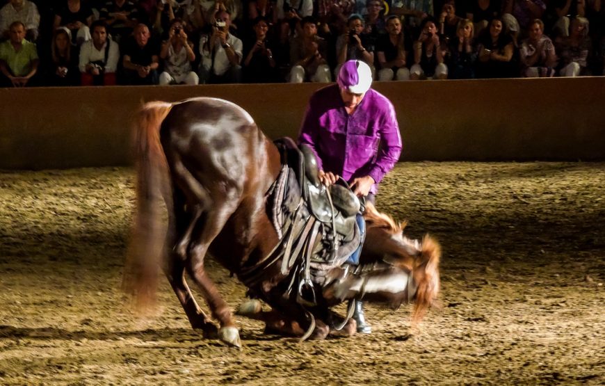 Fantazia Chez Ali Dinner & Show