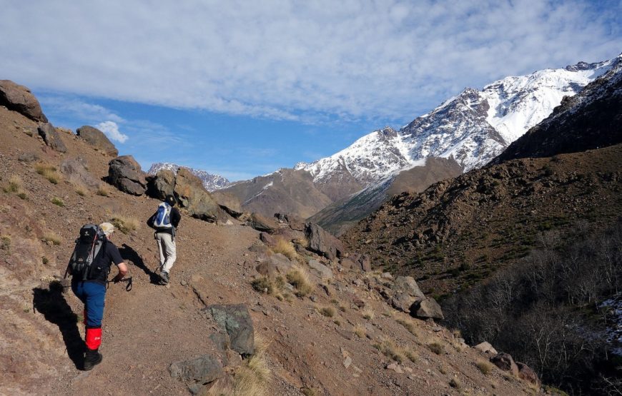 Imlil and High Atlas Excursion