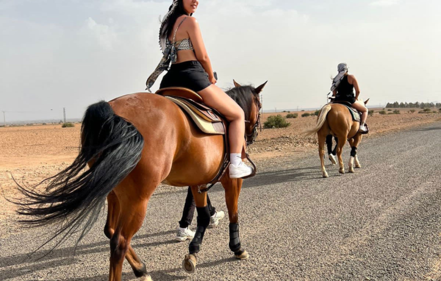 Horseback Riding in the Palmeraie Marrakech