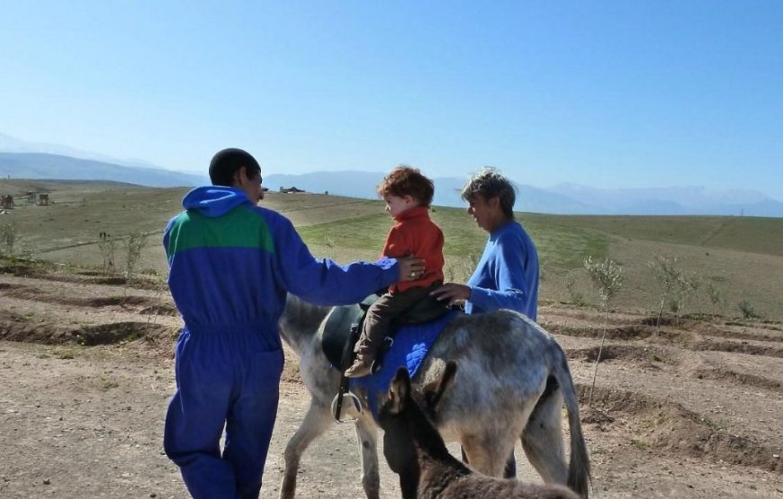Donkey Ride in Berber Country