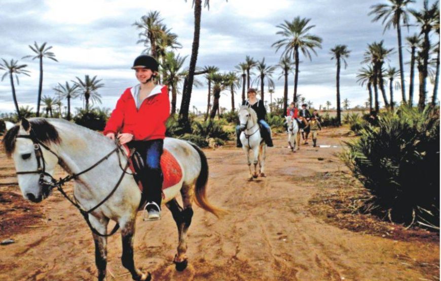 Horseback Riding in the Palmeraie Marrakech
