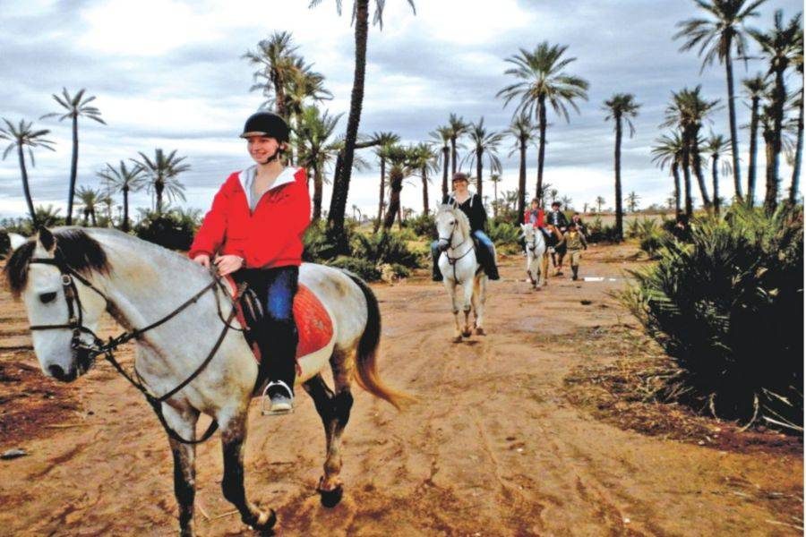 Horseback Riding in the Palmeraie Marrakech