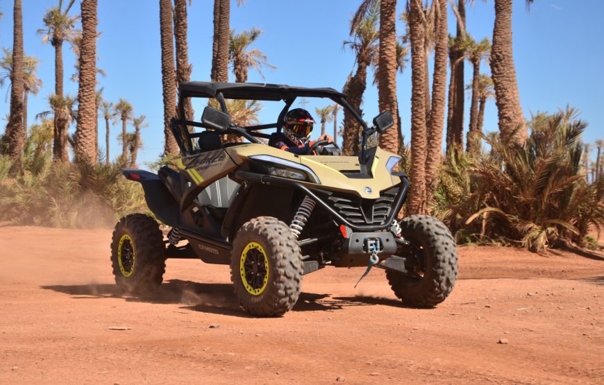 Buggy ride in Marrakech Palmeraie