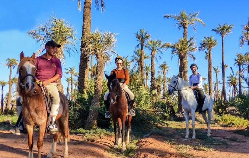 Horseback Riding in the Palmeraie Marrakech