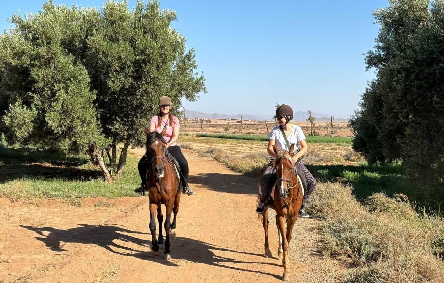 Horseback Riding in the Palmeraie Marrakech