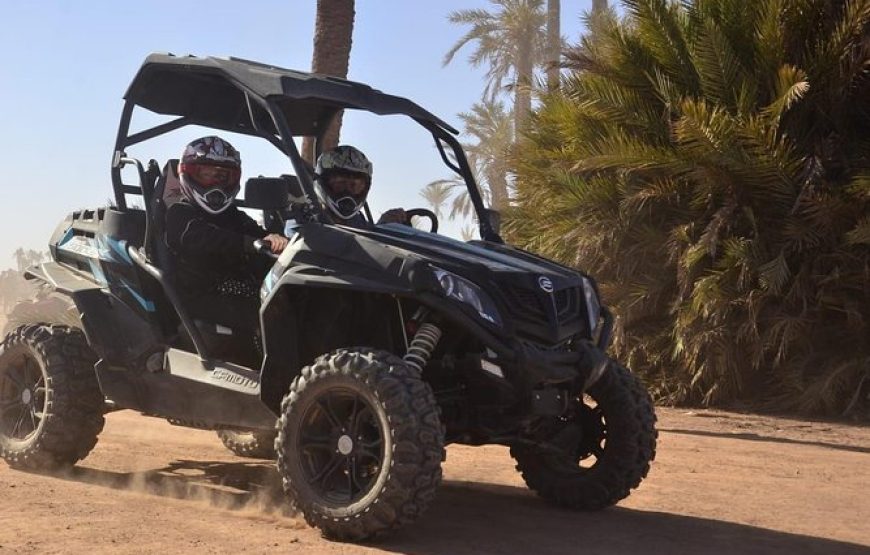 Buggy ride in Marrakech Palmeraie