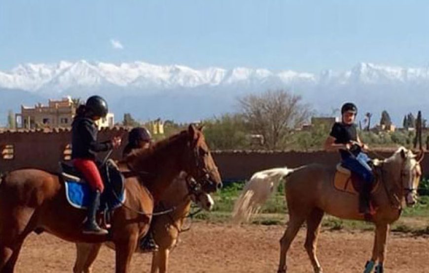 Horseback Riding in the Palmeraie Marrakech