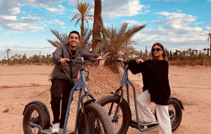 Electric Scooter in Marrakech: Adventure between Medina and Palm Grove